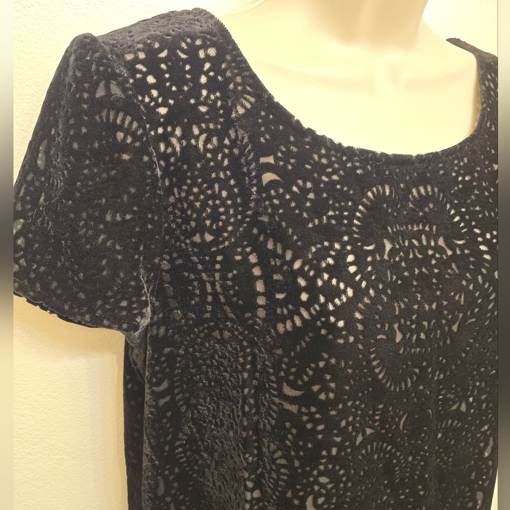 EUC Loft black Velvet Burnout Lace Short Sleeve Blouse - Picture 4 of 5